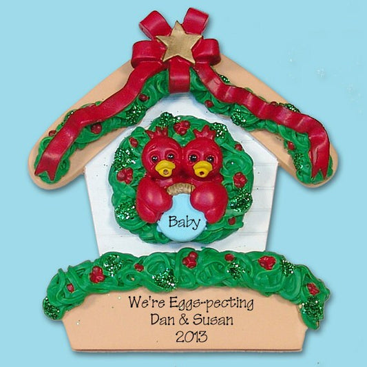 Robin Family of 2  in Birdhouse HAND PAINTED RESIN Couples Personalized Christmas Ornament